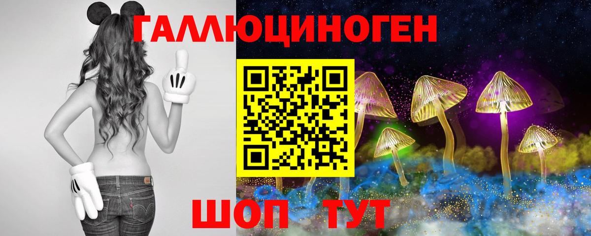 Краснодар  Галлюциногенные грибы MAGIC MUSHROOMS  Вход с VPN 