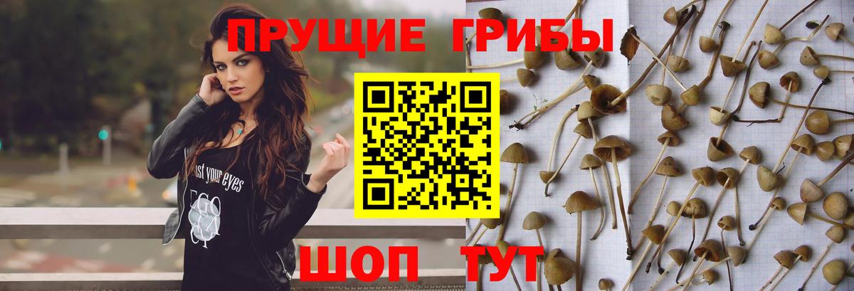 Галлюциногенные грибы мухоморы Краснодар